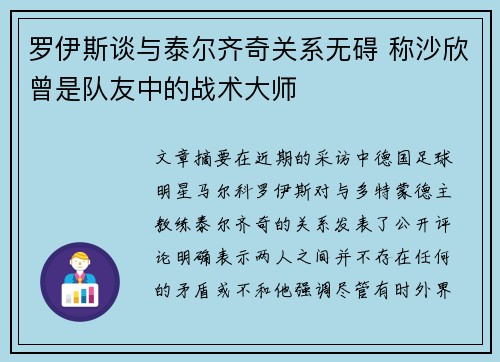 罗伊斯谈与泰尔齐奇关系无碍 称沙欣曾是队友中的战术大师